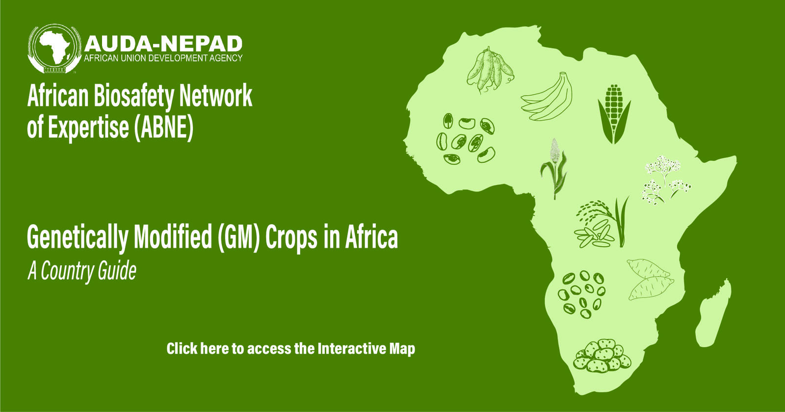 Genetically Modified Crops in Africa: A Country Guide