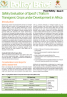 Safety Evaluation of Specific Traits in Transgenic Crops under Development in Africa