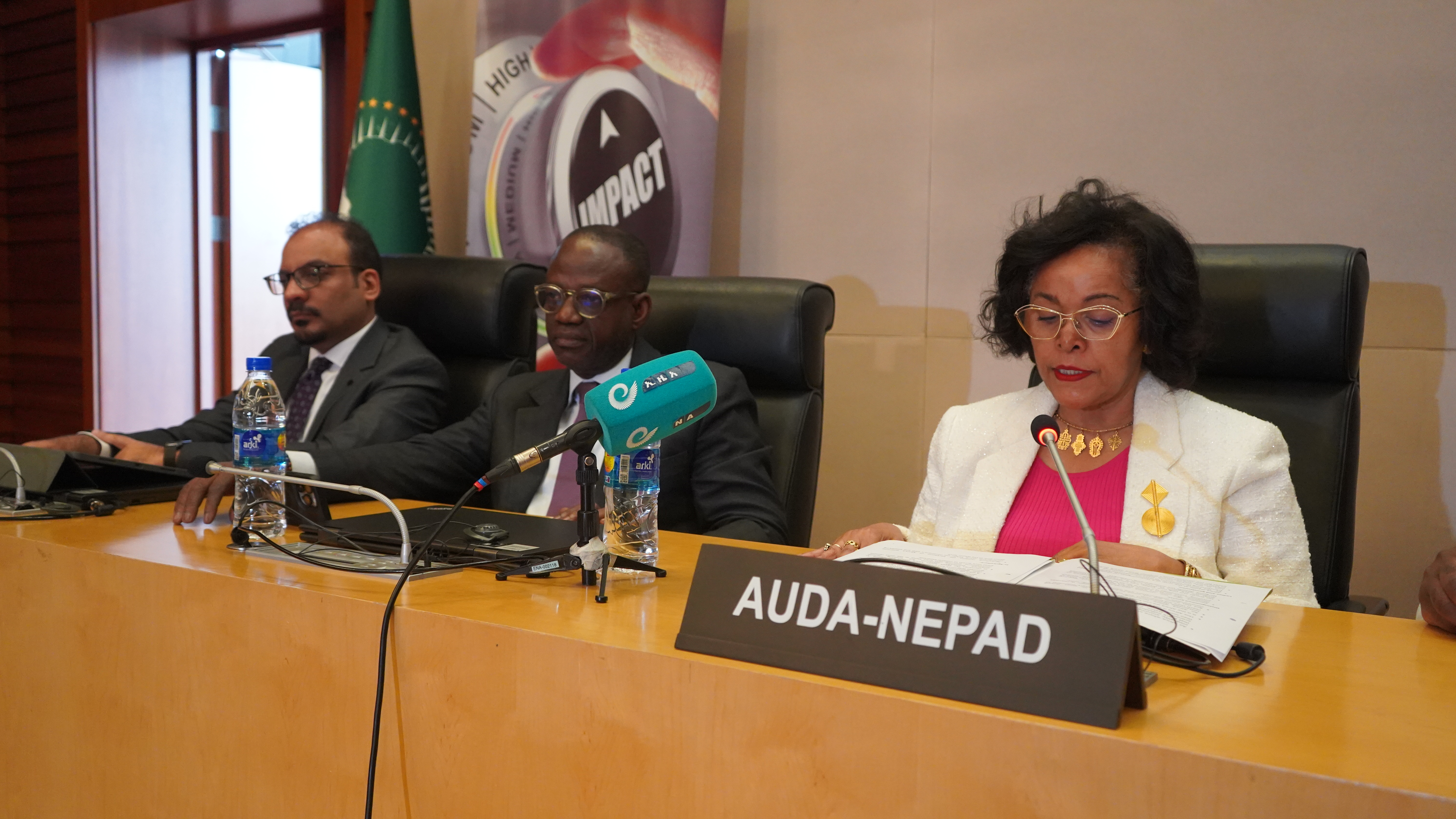 CEO of AUDA-NEPAD, H.E Ms Nardos Bekele-Thomas delivering her opening remarks at the commemoration of the AU Theme of the Year