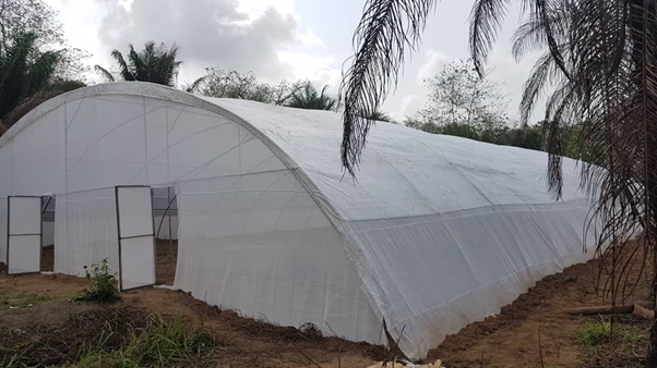 Installed greenhouse with irrigation system integrated and driven by the water supply from the borehole