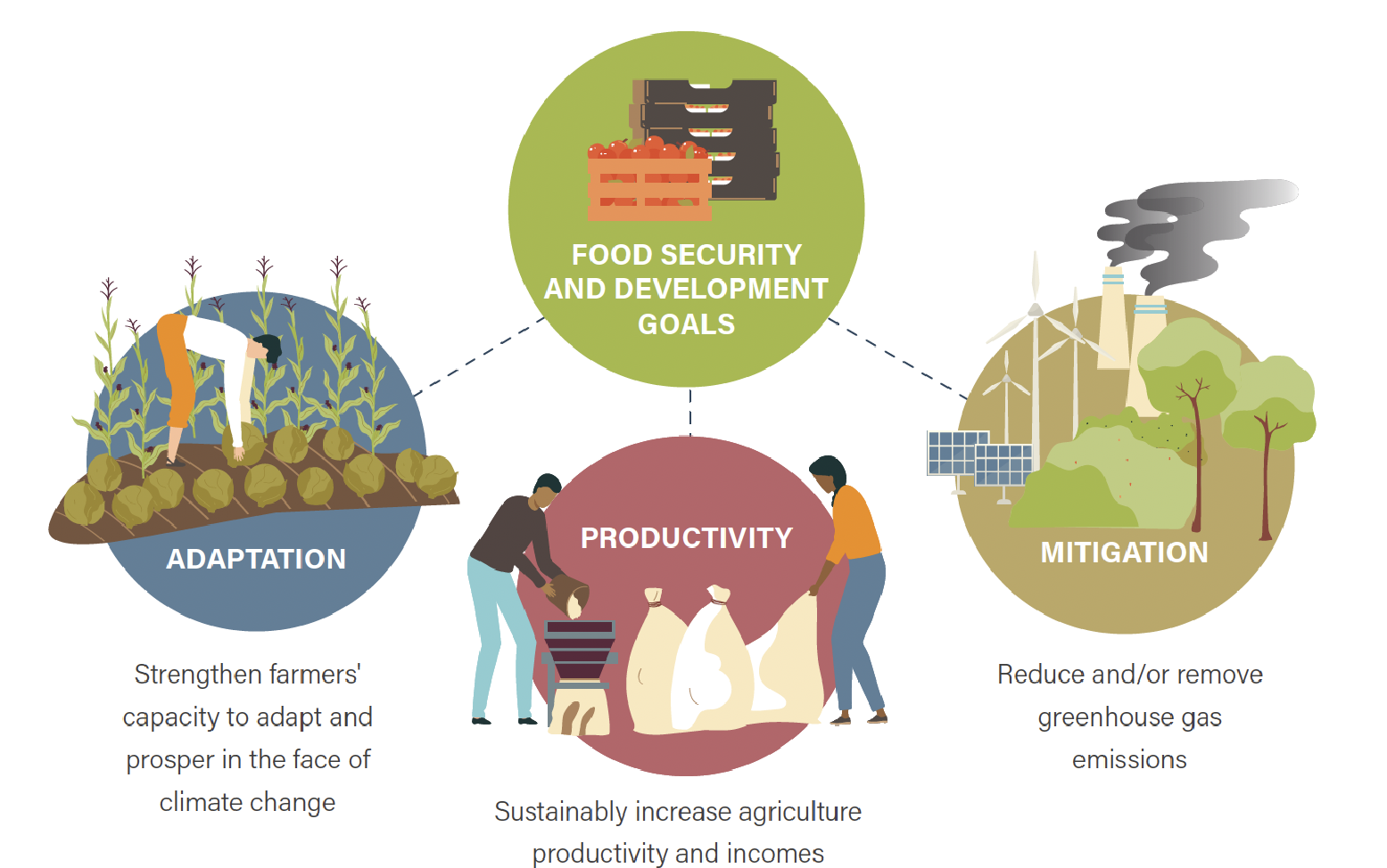 Scaling Climate-Smart Agriculture for accelerated agri-food systems transformation in Africa