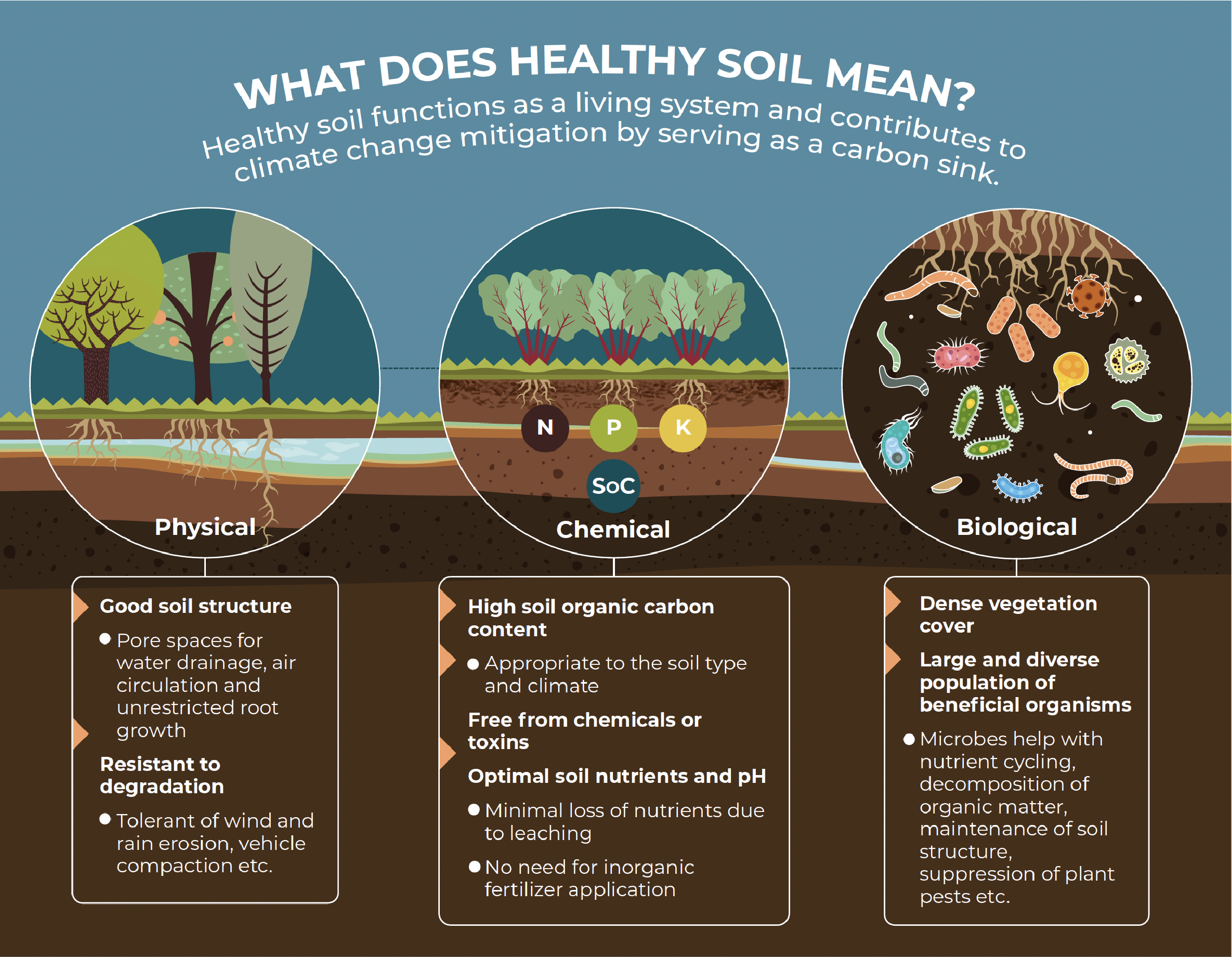 Guidance Note: Soil health – critical to addressing climate change and realising Africa’s agricultural potential