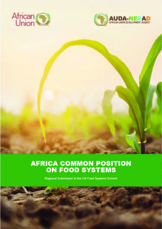 African Common Position on Food Systems