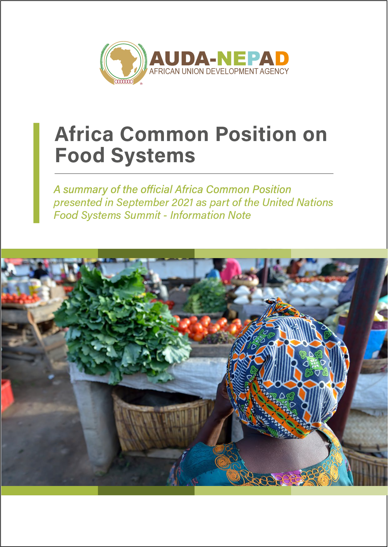 Africa Common Position on Food Systems
