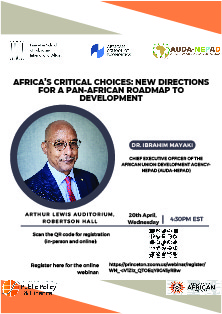 Africa's Critical Choices: New Directions for a Pan-African Roadmap to Development