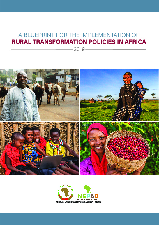 A Blueprint for the Implementation of Rural Transformation Policies in Africa