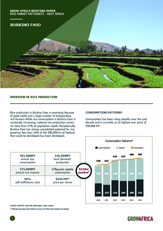 Rice Factsheet: Burkina Faso