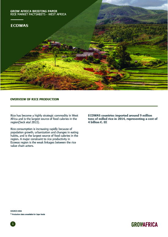 Rice Factsheet: ECOWAS