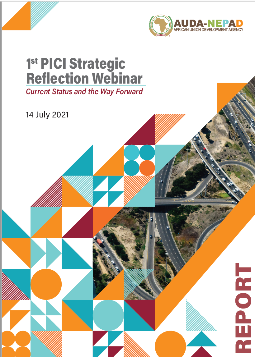Presidential Infrastructure Champion Initiative (PICI) Strategic Reflection Webinar Report