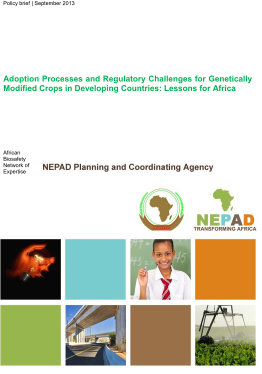 Adoption Processes and Regulatory Challenges for Genetically Modified Crops in Developing Countries: Lessons for Africa