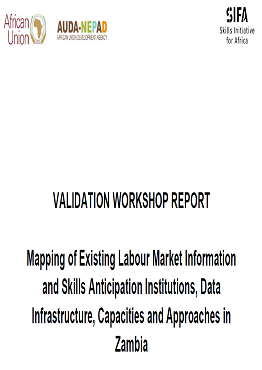 Validation Workshop Report: Mapping of LMIS approaches in Zambia 