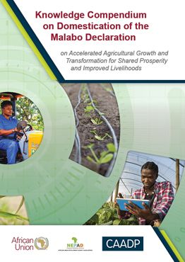 Knowledge Compendium on Domestication of the Malabo Declaration
