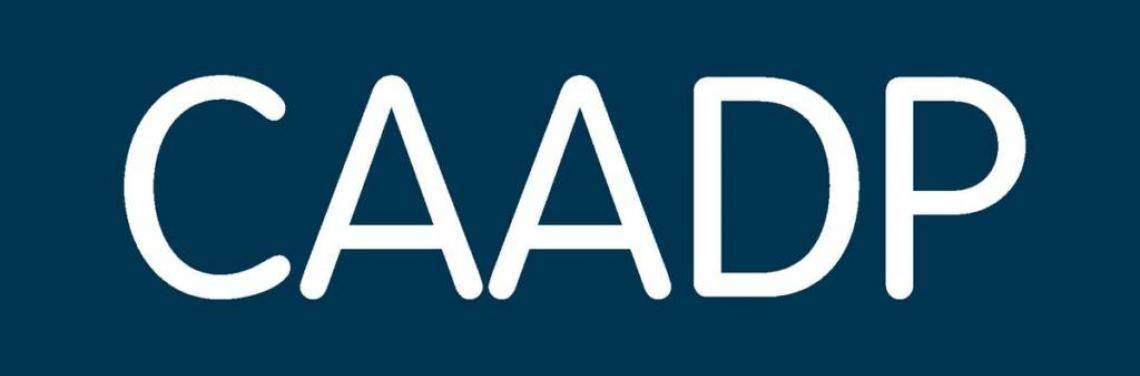 Overview | AUDA-NEPAD