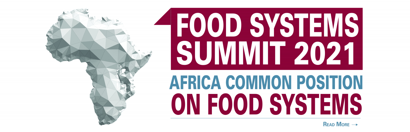 Africa Common Position on Food Systems