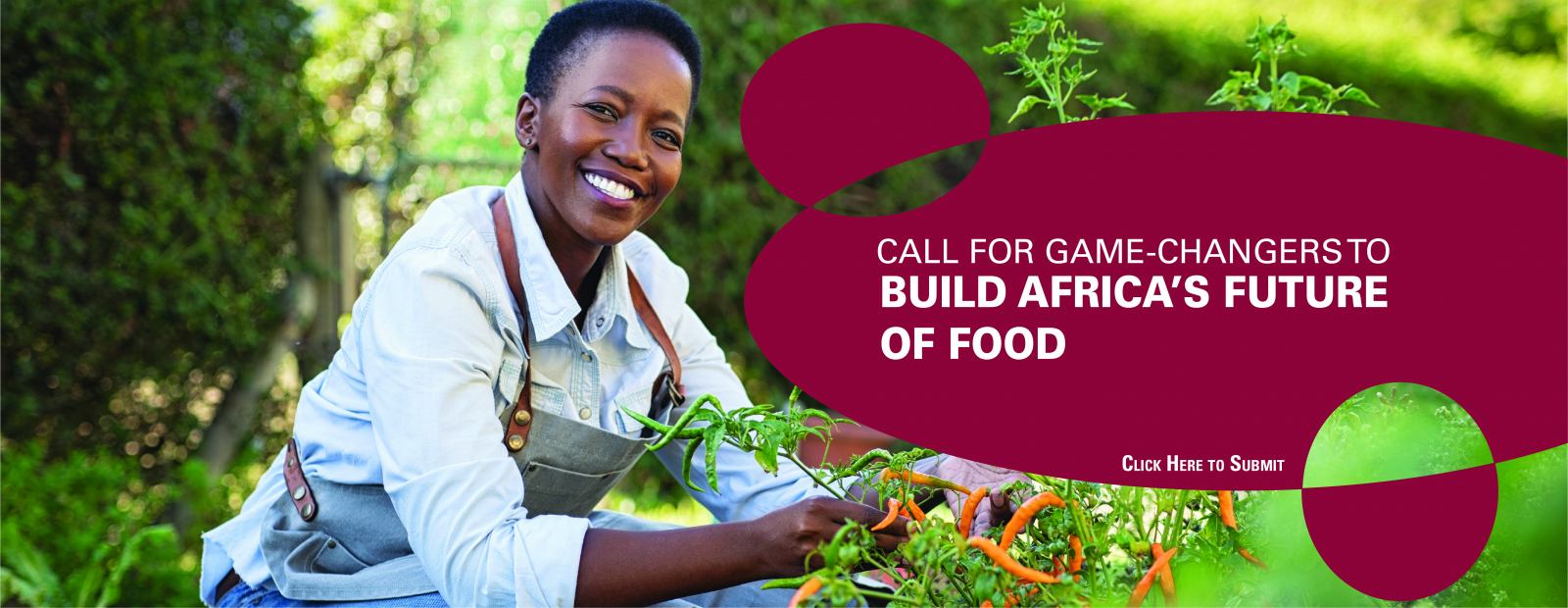 Call for Game-Changers to Build Africa's Future of Food