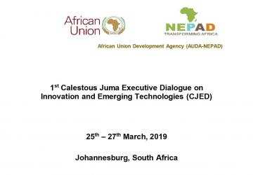 Calestous Juma Executive Dialogue on Innovation and Emerging Technologies