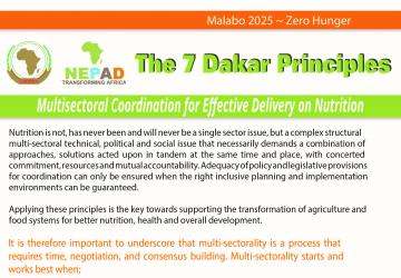 7 Dakar Principles
