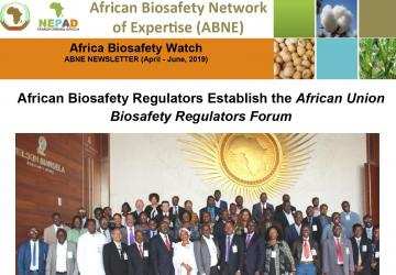 Africa Biosafety Watch – April to June 2019 Newsletter