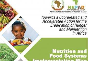 Nutrition and Food Systems Implementation Plan: Towards a Coordinated and Accelerated Action for the Eradication of Hunger and Malnutrition in Africa