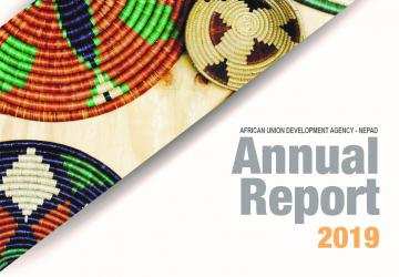 AUDA-NEPAD 2019 Annual Report