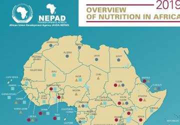 Overview of Nutrition in Africa: 2019