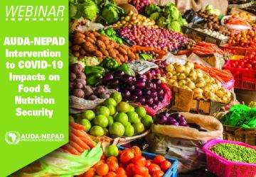 Webinar Flyer: AUDA-NEPAD Initiative to COVID-19 Impacts on Food & Nutrition Security