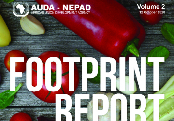AUDA-NEPAD Impact Report: Volume 2: October 2020