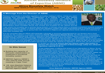 Africa Biosafety Watch – October to December 2014 Newsletter