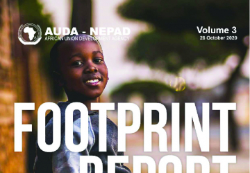 AUDA-NEPAD Impact Report: Volume 3: October 2020