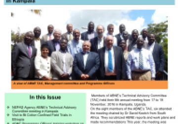 Africa Biosafety Watch – October to December 2016 Newsletter