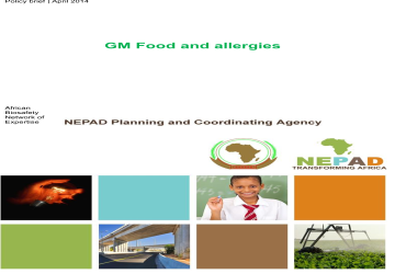 GM Food and allergies African Biosafety
