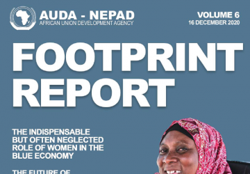 AUDA-NEPAD Impact Report: Volume 6: 16 December 2020