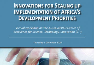 Report: Virtual workshop: Innovations for Scaling up Implementation of Africa's Development Priorities