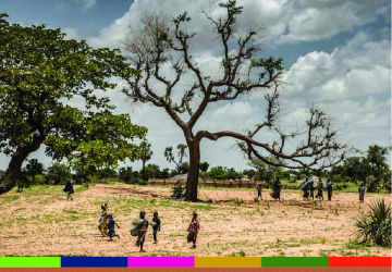 Review of Forest and Landscape Restoration in Africa 2021