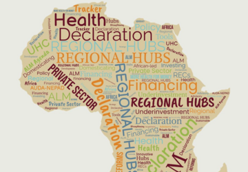 African Leadership Meeting - Investing in Health Declaration Briefing Paper