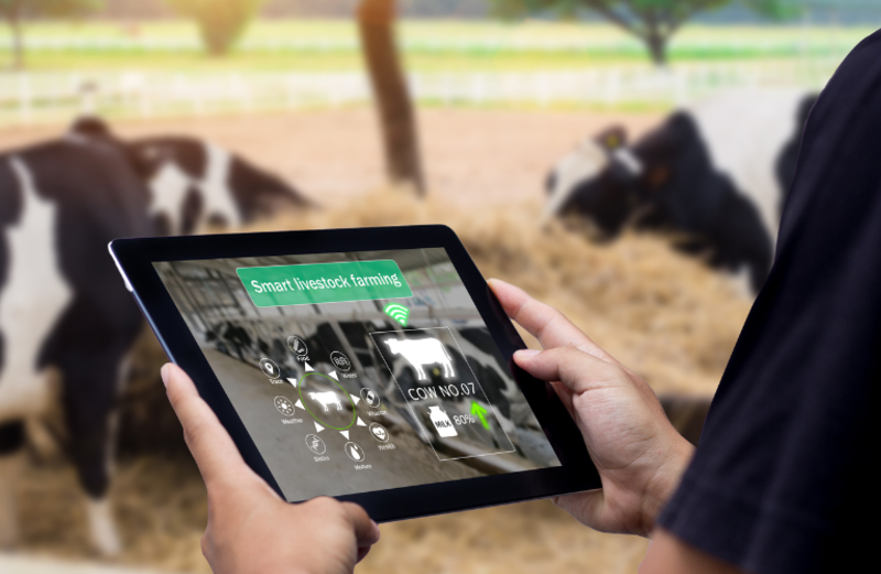 Leveraging Machine Learning To Control Foot And Mouth Disease In Cattle Farming In Africa