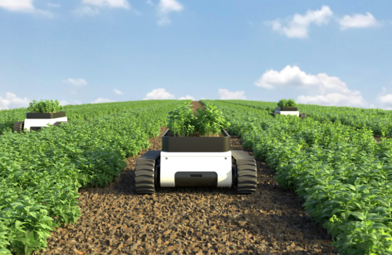 How Artificial Intelligence (AI)-Powered Weeding Is Transforming Africa's Agricultural Future