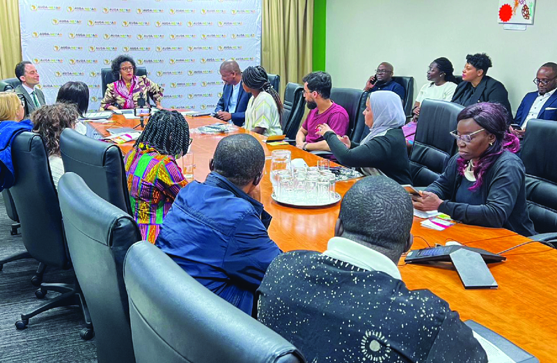 African Union Media Fellows visit AUDA-NEPAD Agency Offices