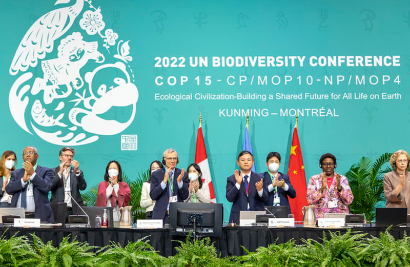 COP 15 in Montreal: Nations Adopt Important Biodiversity Protection Goals and Targets for 2030 