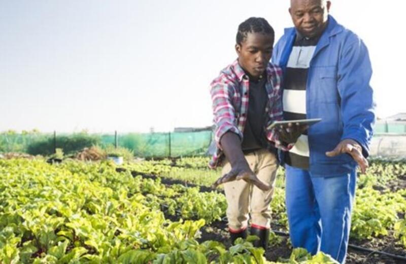 The Need For A Private Sector Coalition On Agriculture