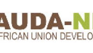 AUDA-NEPAD logo