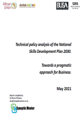 Technical policy analysis of the National Skills Development Plan 2030