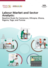 Macroeconomics and Sector analysis Studies