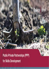 Public-Private Partnerships (PPP) for Skills Development